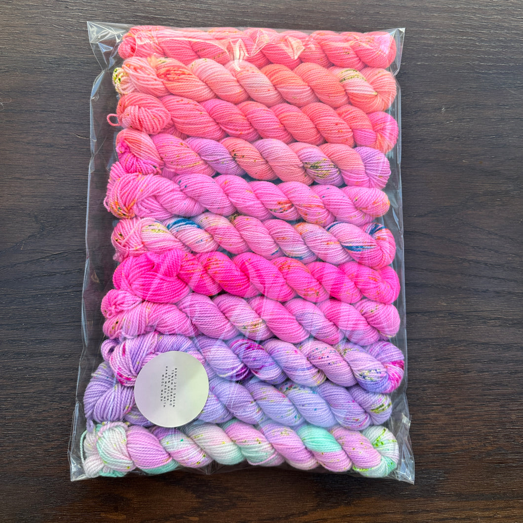 Pink & Coral 11 Mini Skein Yarn Set - Sock