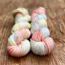 Seashells DK