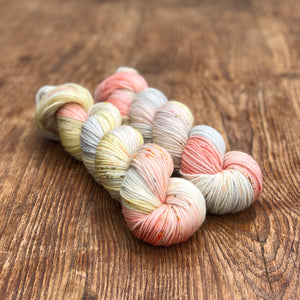 Seashells DK